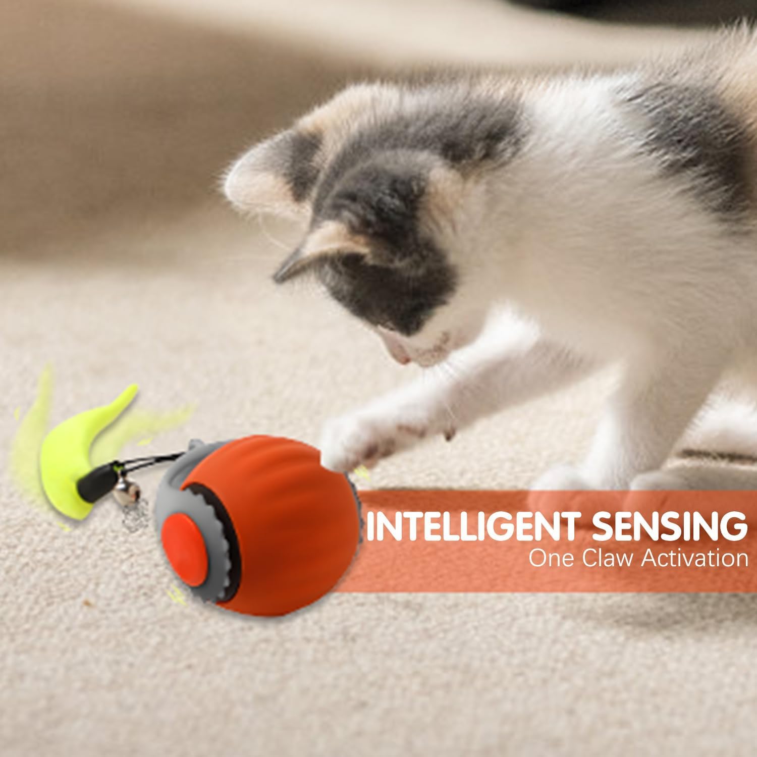 Interactive cat ball obstacle-navigation demonstrates smooth play across carpets and floors.