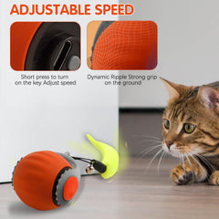 Interactive cat ball rolling action demonstrates continuous chase-inspired entertainment on any surface.