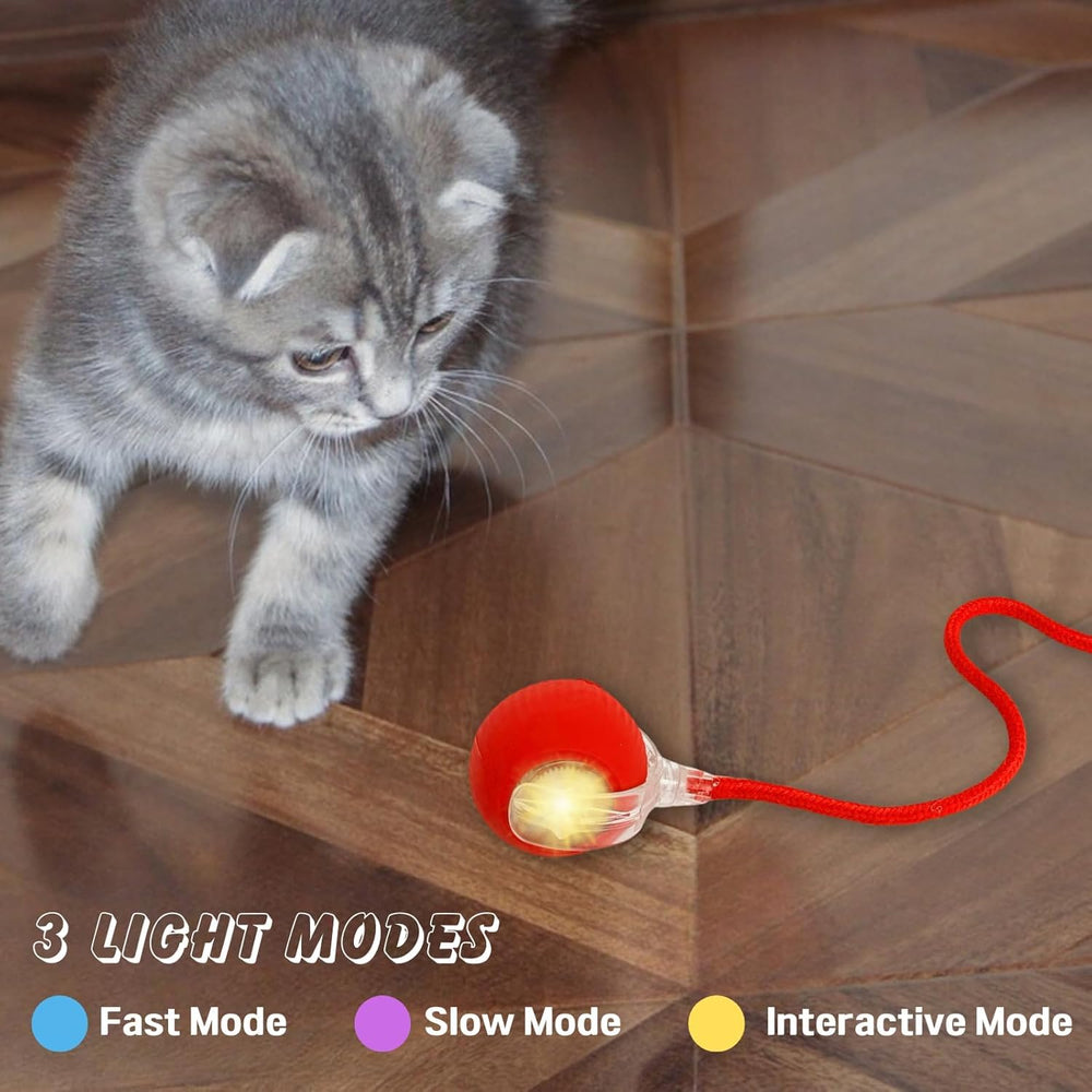 interactive-cat-ball-toy durable play for long-lasting fun