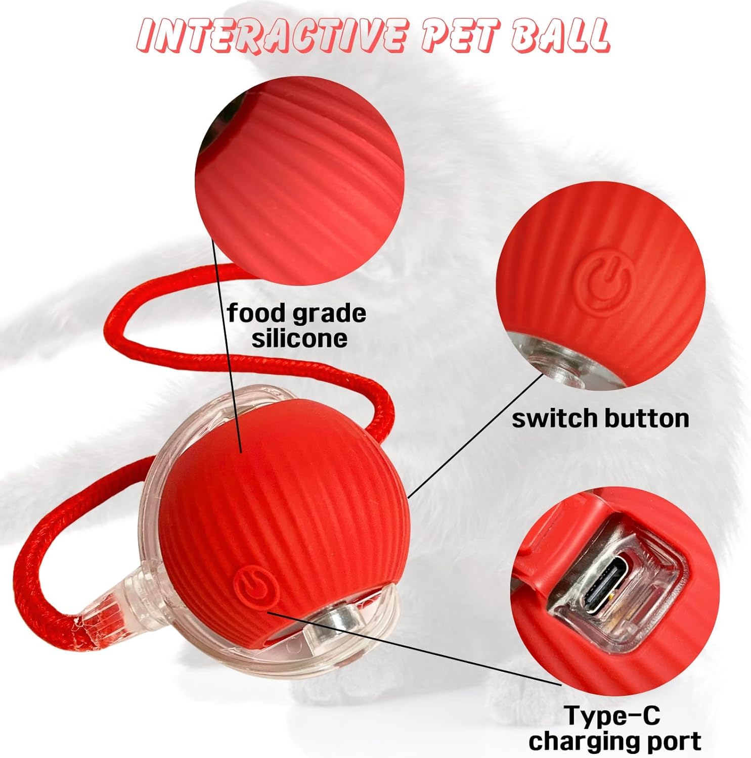 interactive-cat-ball-toy indoor entertainment for cats and small dogs