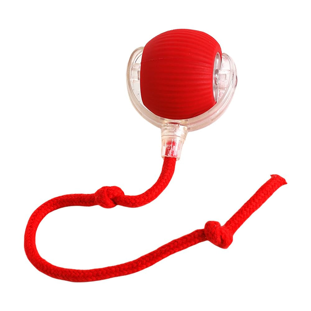 interactive-cat-ball-toy rolling action helps pets stay active indoors