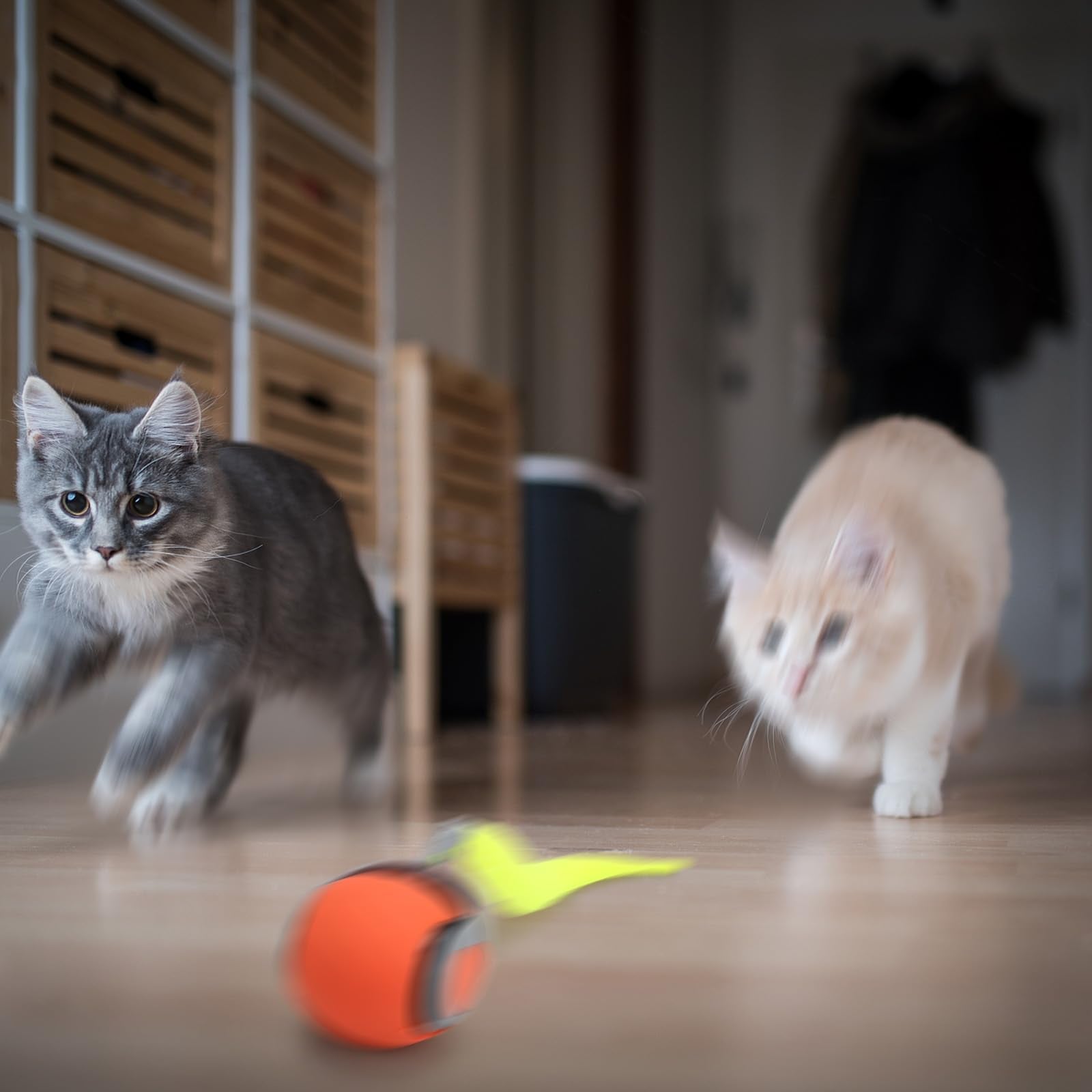 Interactive cat toy ball has a smooth wipe-clean surface for easy maintenance.