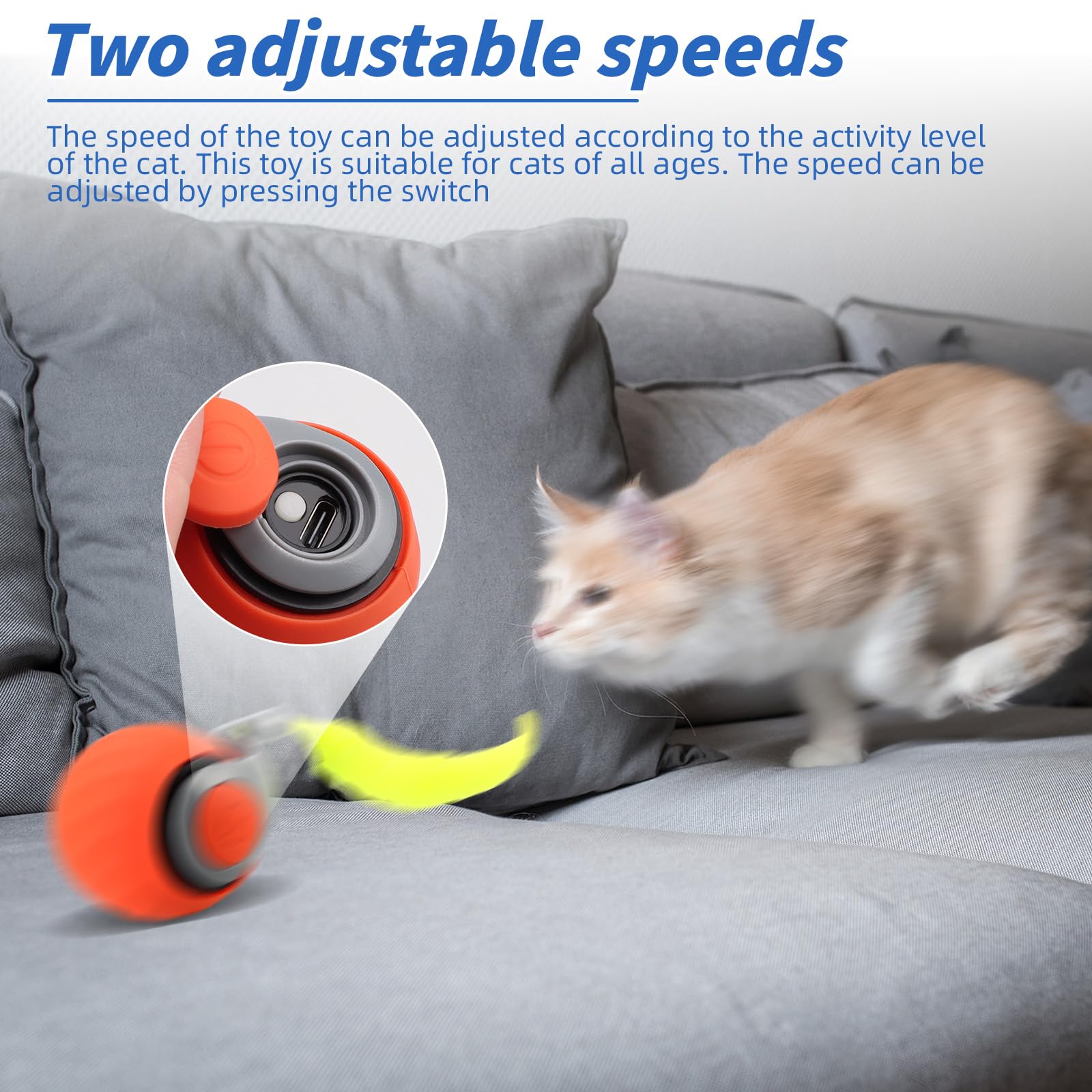 Interactive cat toy ball designed for indoor play and varied exercise.