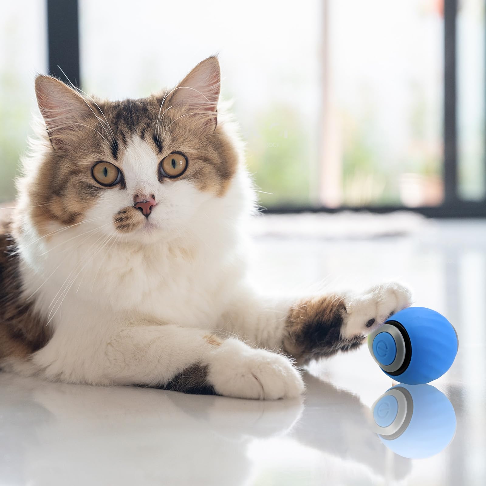 Interactive cat toy ball is USB rechargeable for convenient, on-demand play sessions.