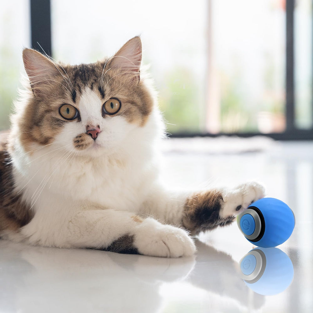 Interactive cat toy ball is USB rechargeable for convenient, on-demand play sessions.