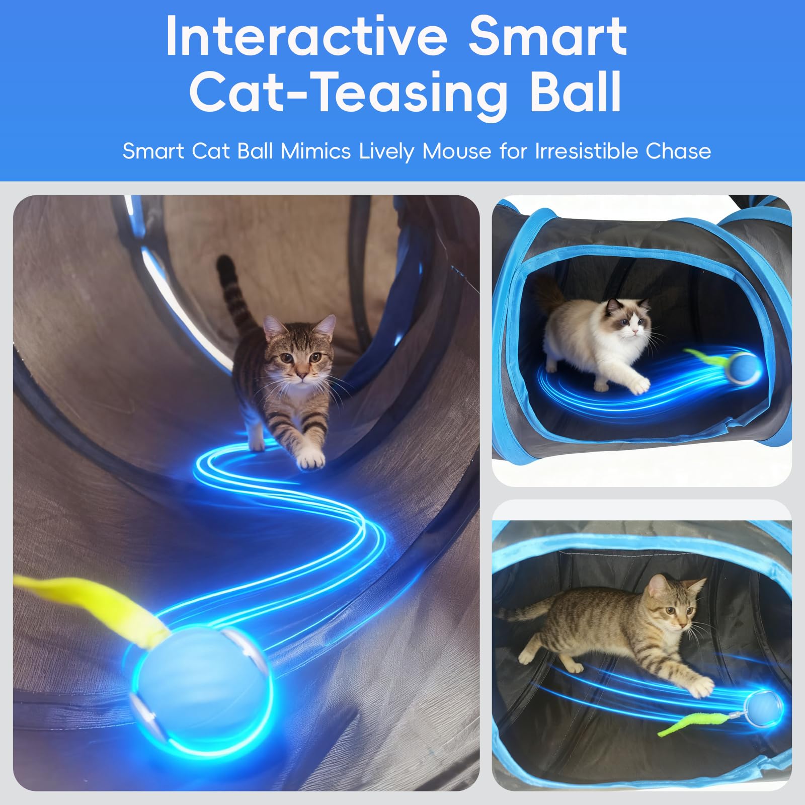 Interactive Cat Toys smart-ball play demonstrates unpredictable movement for hunting-style fun