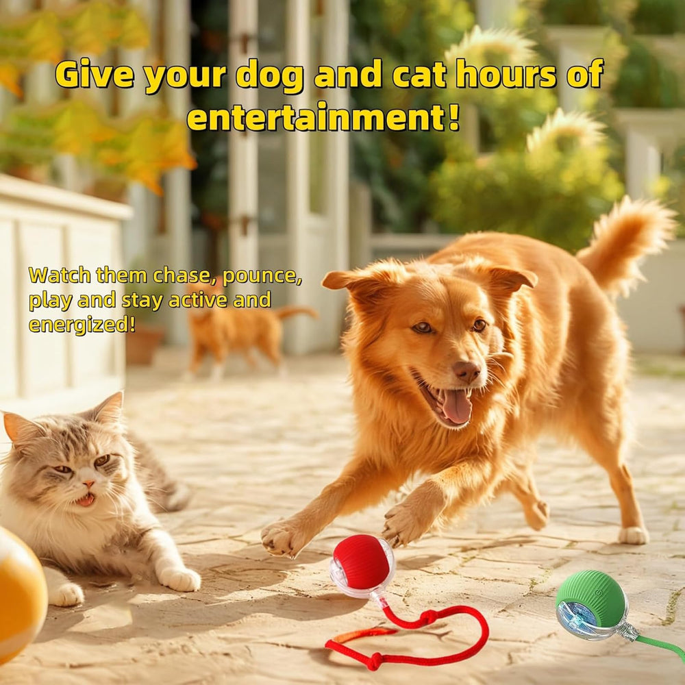 Rechargeable battery powers extended play sessions for the Interactive Dog Cat Toy Ball.