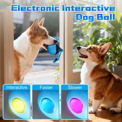 Interactive Dog Toys Ball automatic movement showcases smart play for dogs