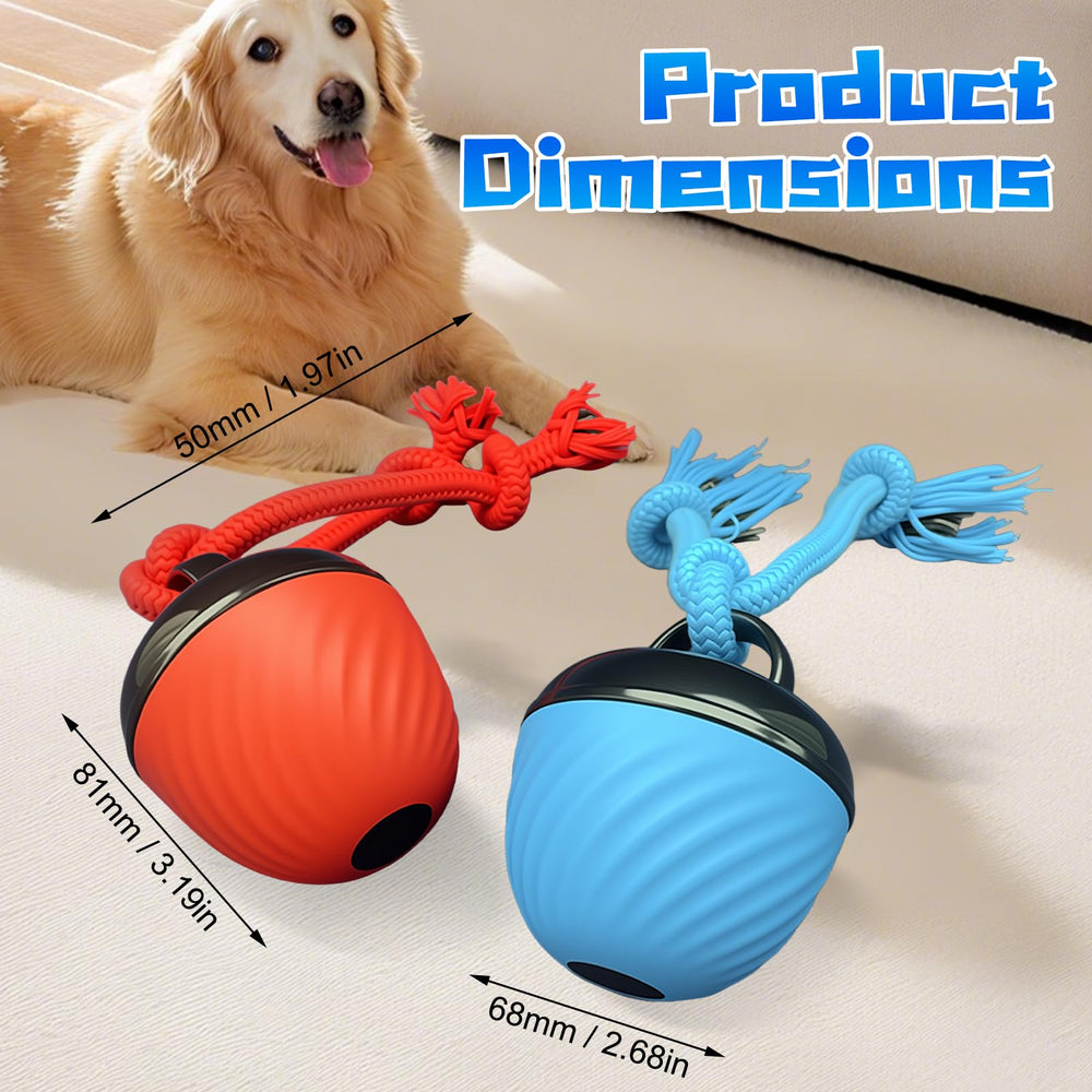 Interactive Dog Toys Ball daily training use supports focused exercise for dogs