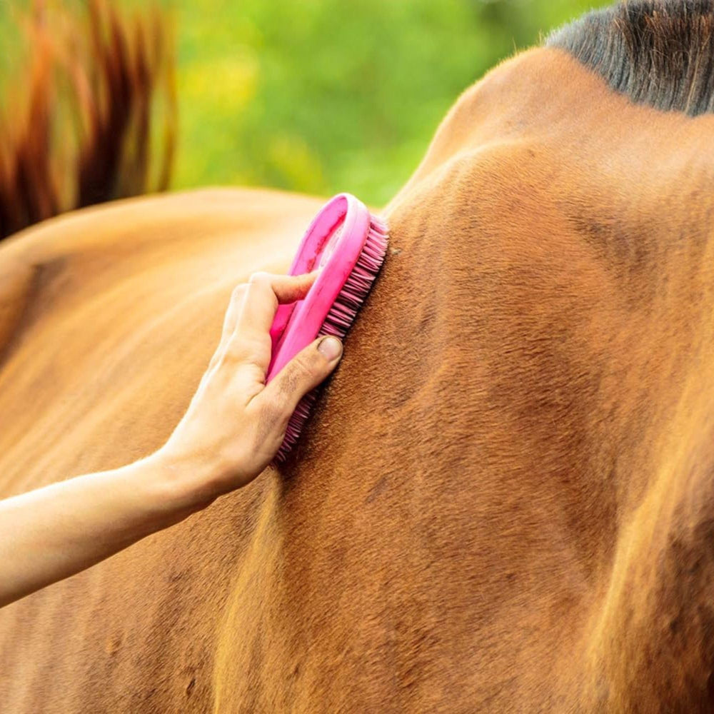Intrepid International Magic Horse Brush on muddy coat after ride, showing grooming result.