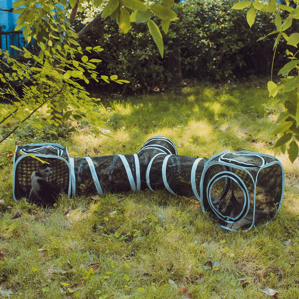 INTURN cat furniture tent set up for multi-cat play and shared exploration.