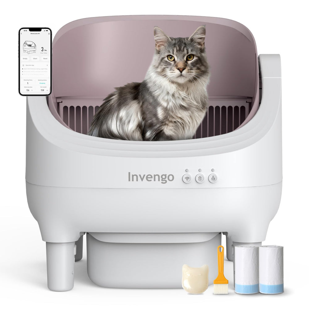 Invengo auto cat litter box open-top design supports easy access and cleaner space.
