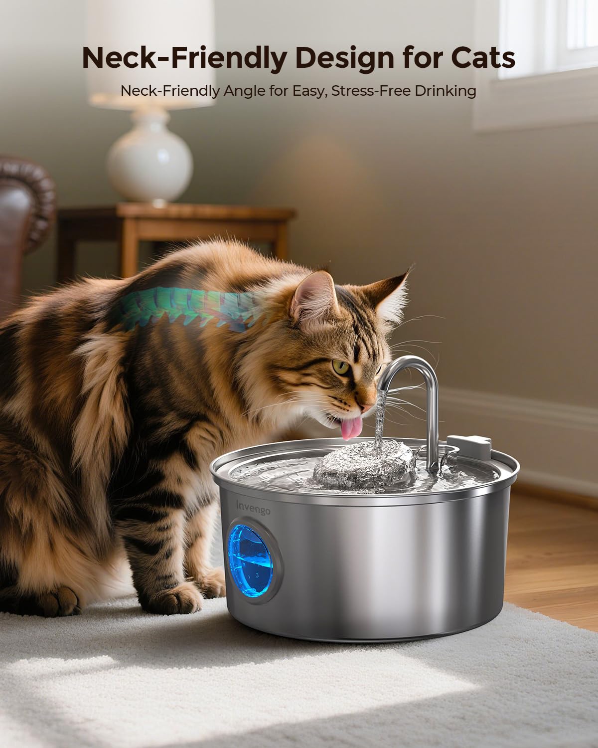 Invengo cat water fountain replacement filters pack shows included filtration options.