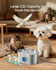 Invengo dual-outlet design with 360-degree circulation delivering fresher water.