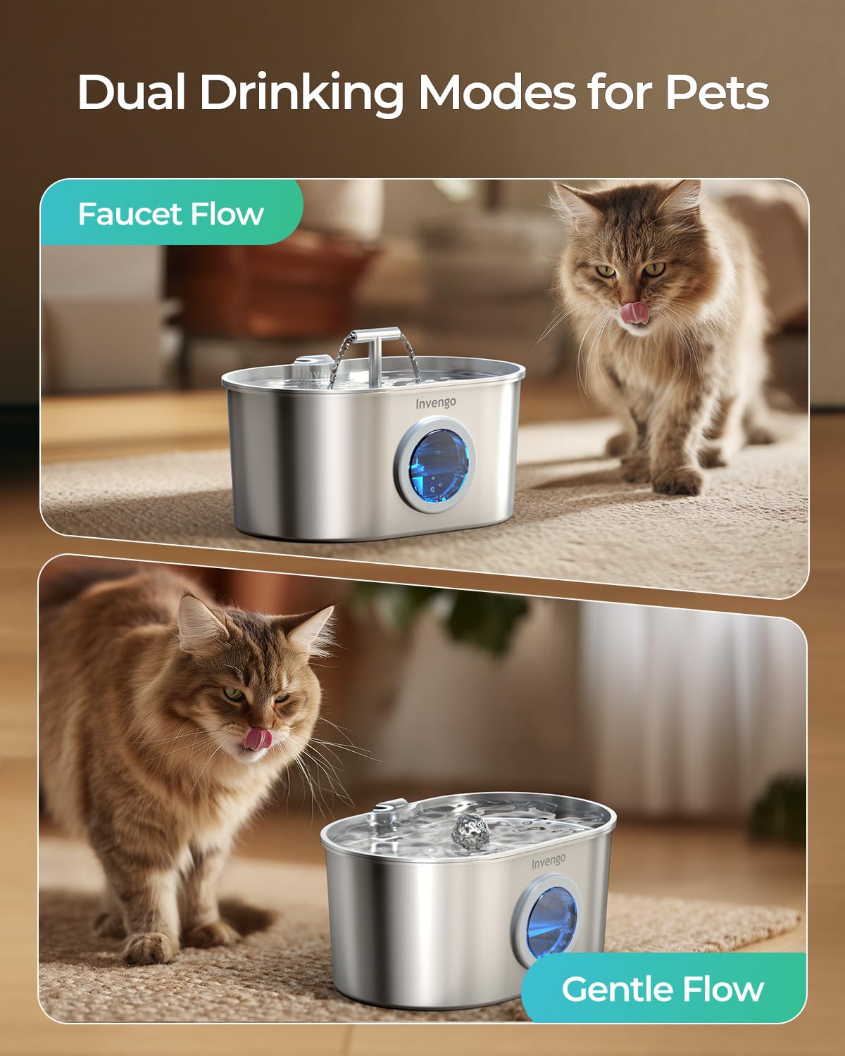 Invengo stainless steel construction resists rust for lasting pet hydration.