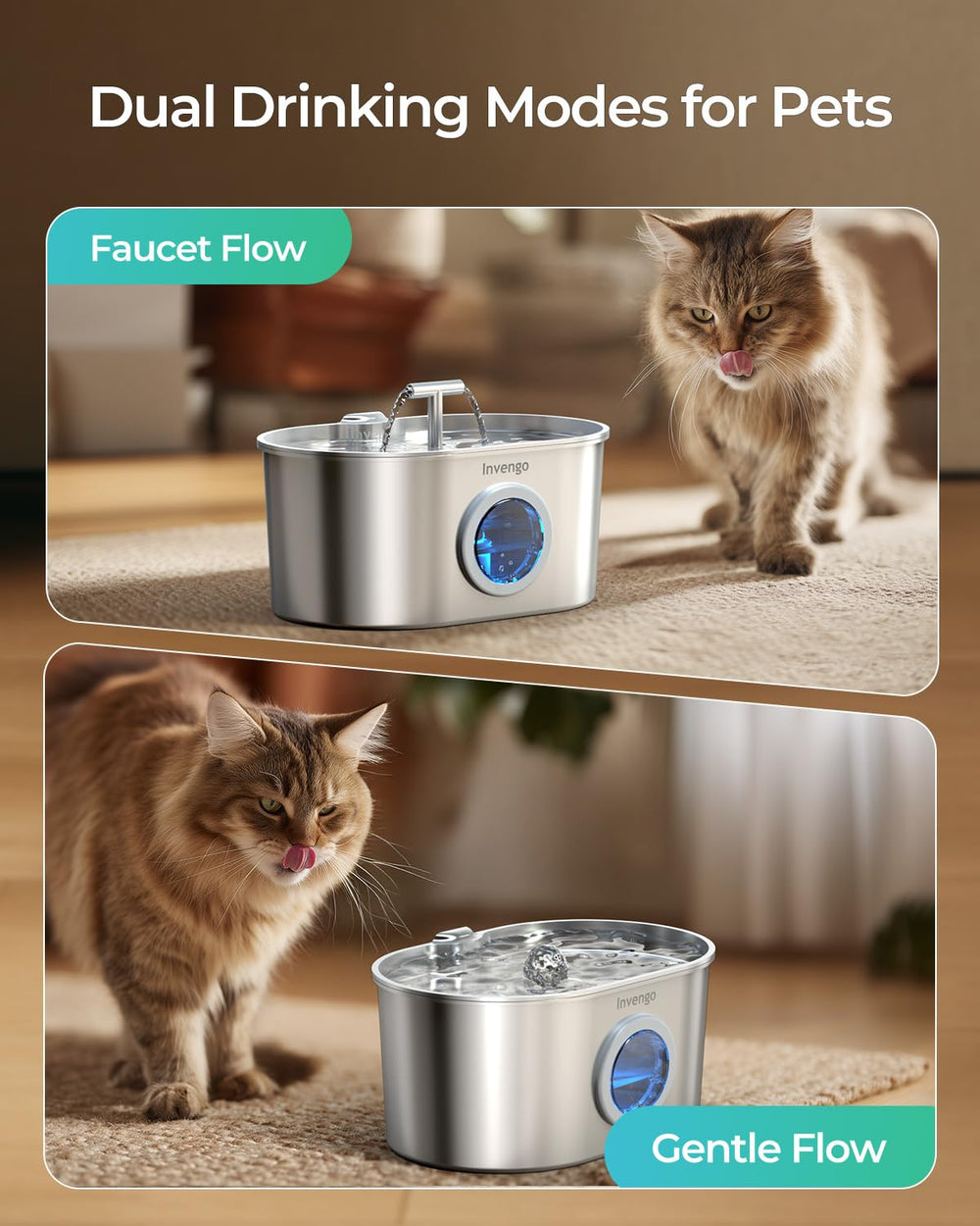 Invengo stainless steel construction resists rust for lasting pet hydration.