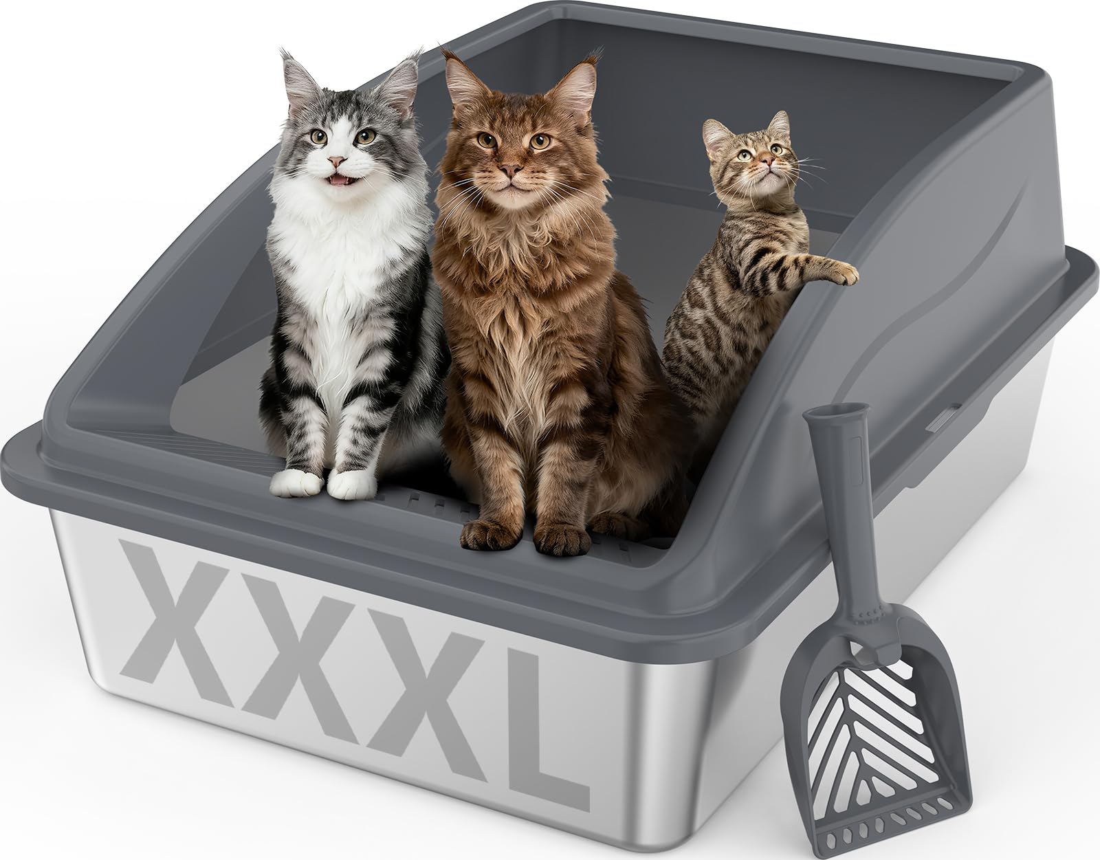 INVENHO extra-large litter box top view shows spacious interior for large cats