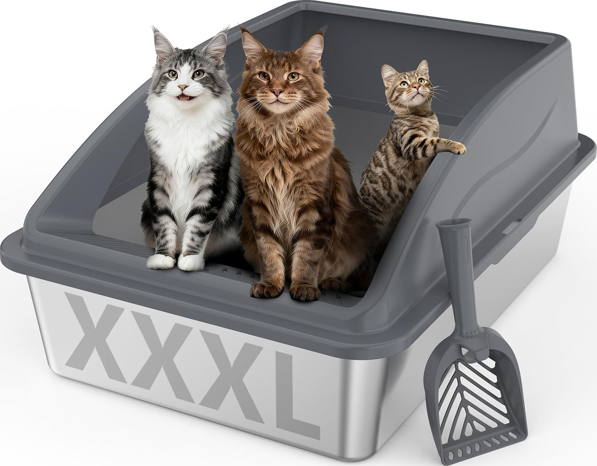 INVENHO extra-large litter box top view shows spacious interior for large cats