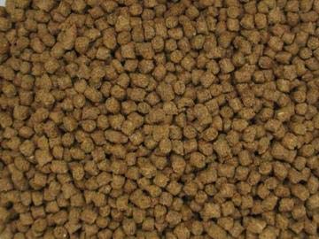 Invert Aquatics NutriSpheres on tank bottom ready for shrimp and snails
