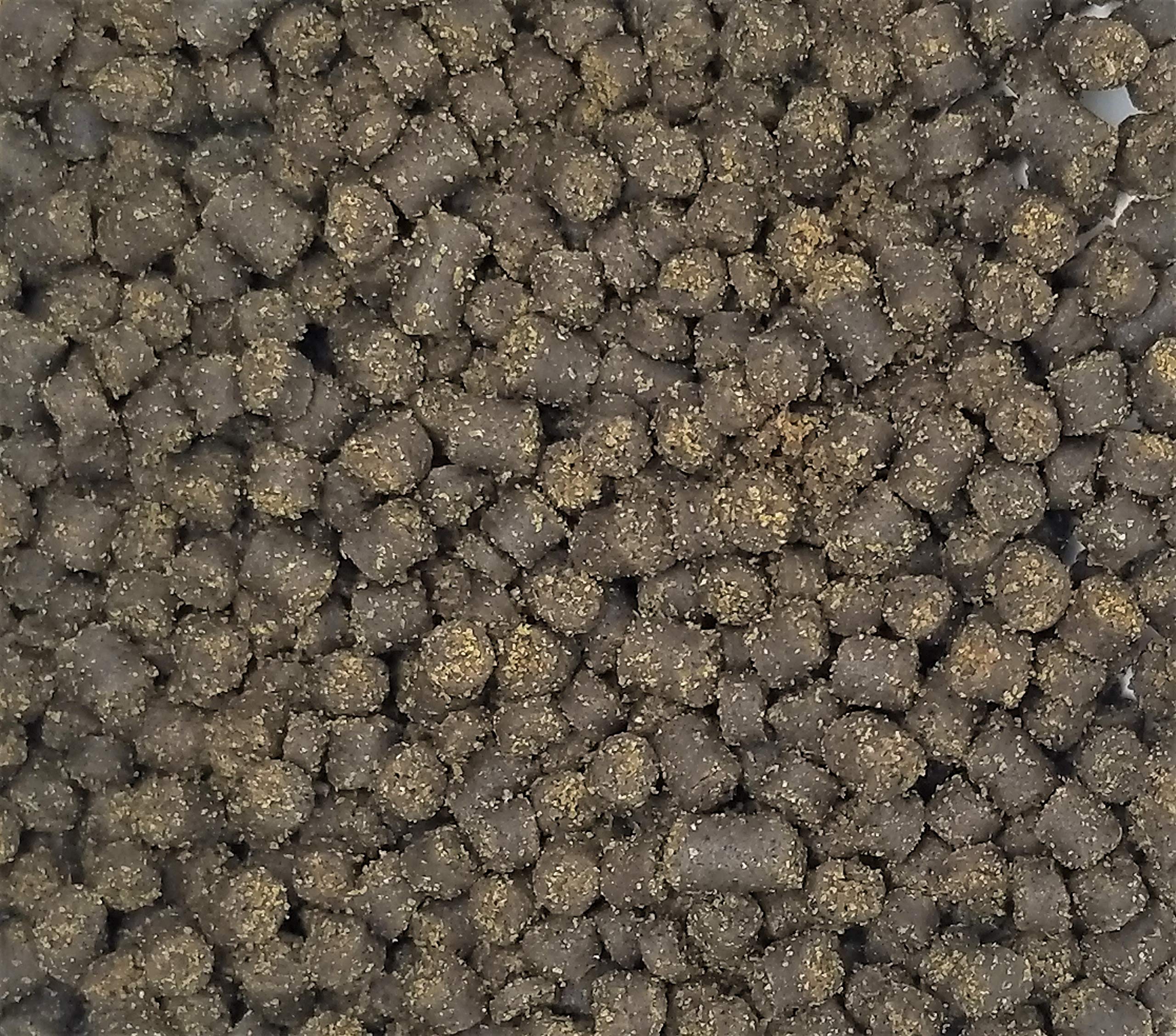 Invert Aquatics Soft Pellets showcase the new look while delivering easy-to-consume food.