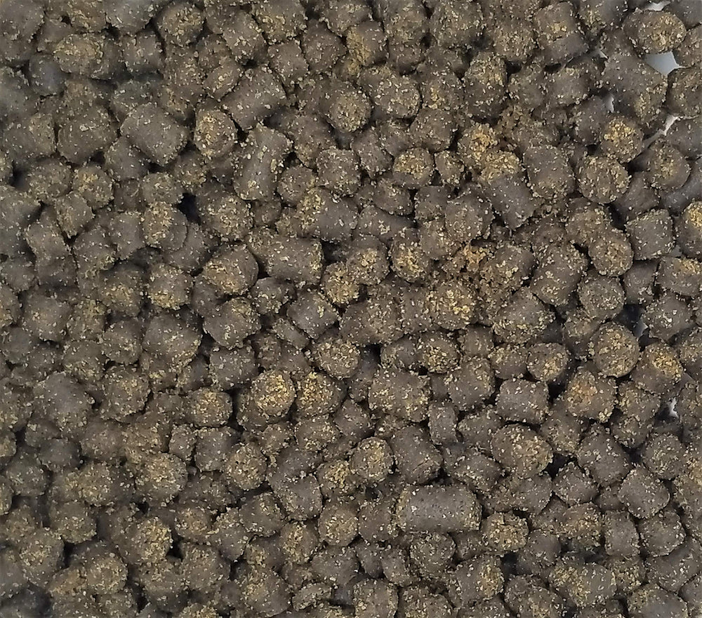 Invert Aquatics Soft Pellets packaging bottle shows clear labeling and freshness.