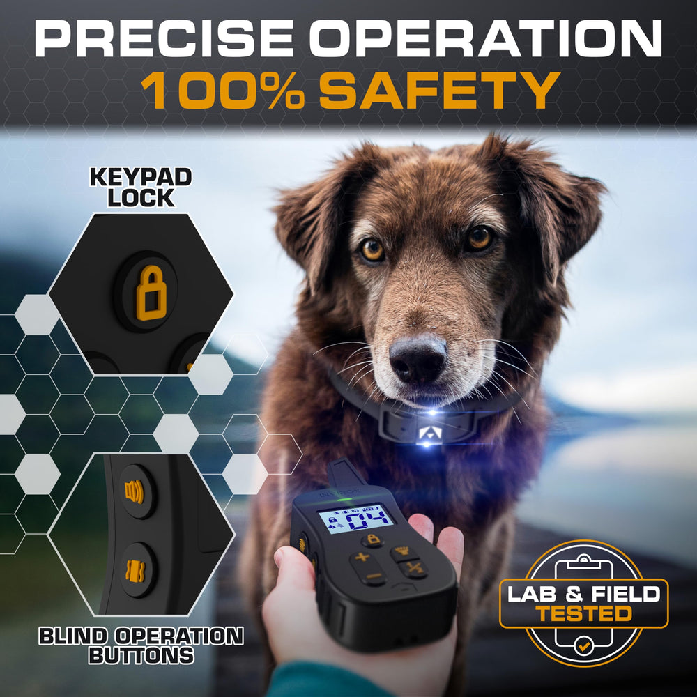 INVIROX IP67 waterproof collar endures rain and mud during play.