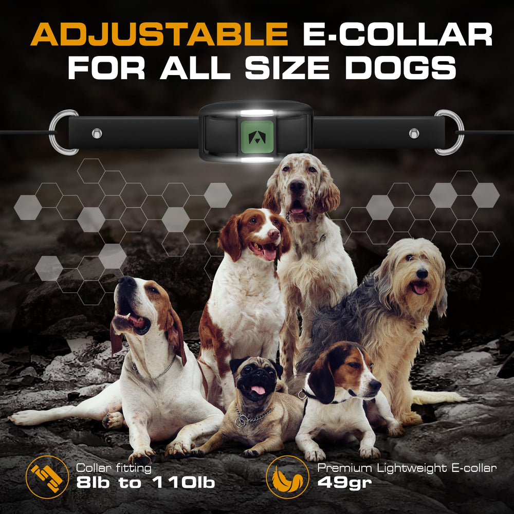 INVIROX Training Collar warranty and support for reliable after-purchase help.