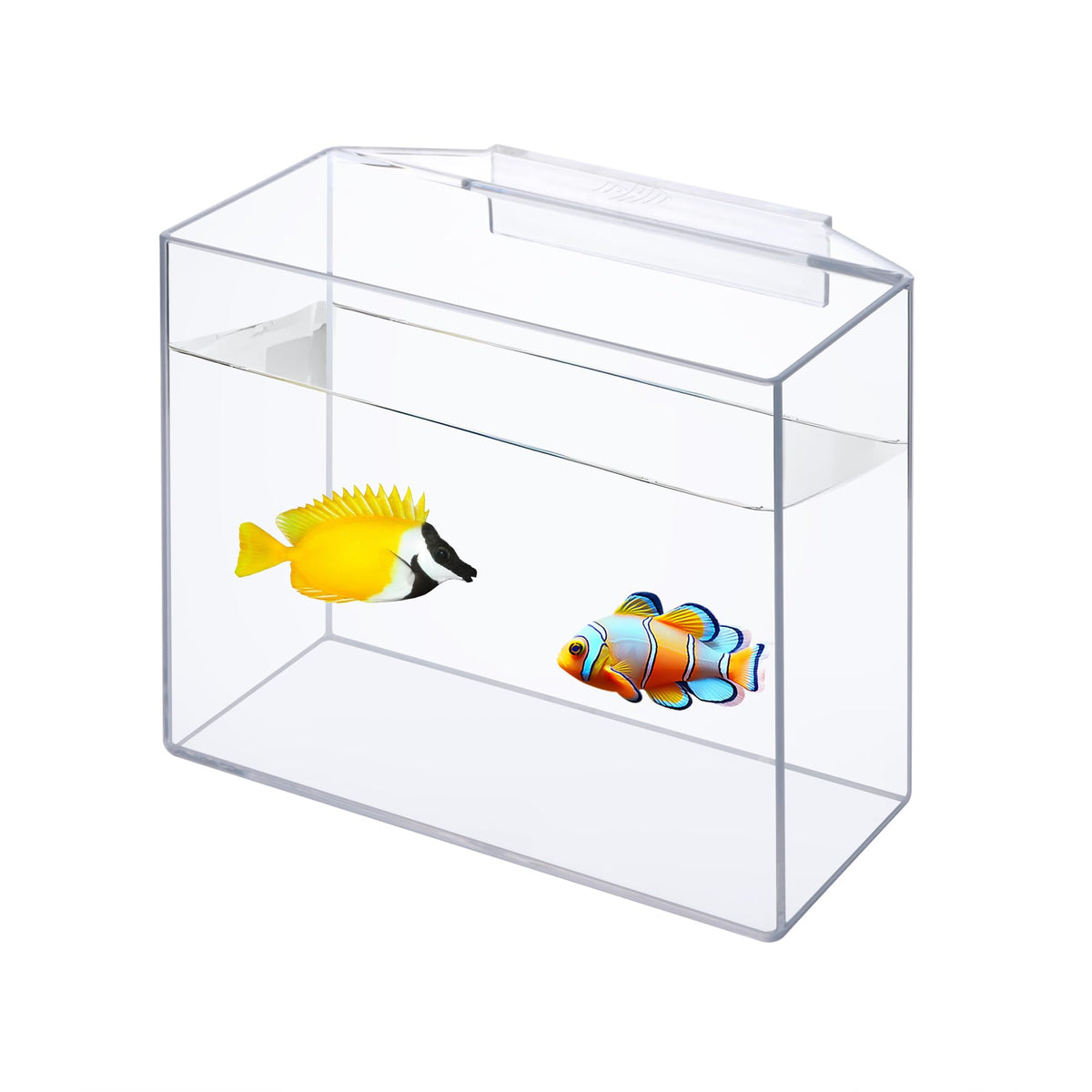IOAOI Drip Acclimation Container hanging design for easy placement beside the tank