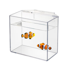 IOAOI drip acclimation container hanging view enables easy staged fish acclimation.