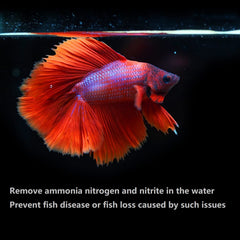 IOAOI PuriResin installed in filter chamber improves water clarity.