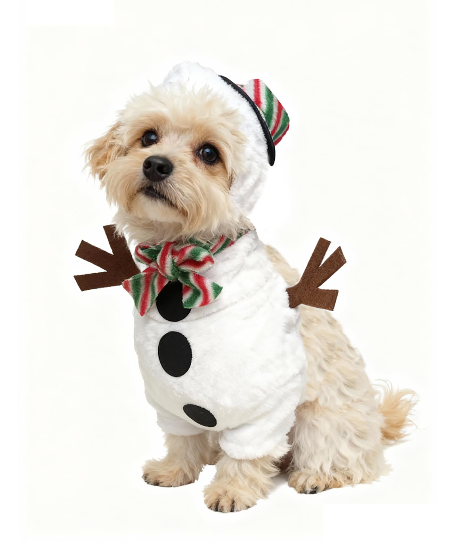 IOICYBF pet costume velcro closure demonstrates easy on/off access.