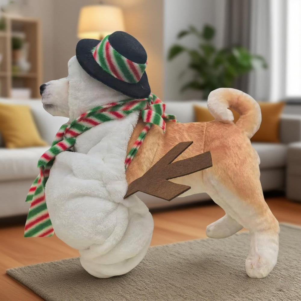IOICYBF size-guide-pet-costume helps pick the right fit.