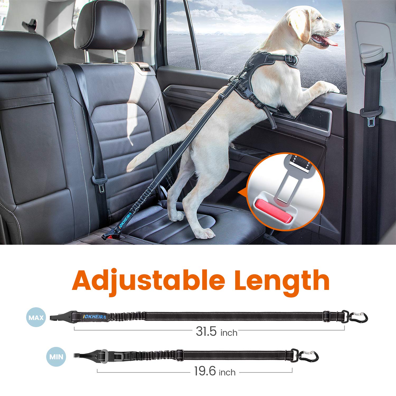 IOKHEIRA dog seatbelt includes bungee cushioning to soften jolts.