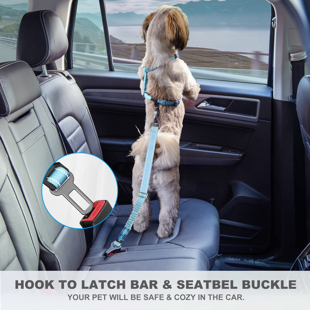 IOKHEIRA promotes safer, calmer rides when paired with a dog harness
