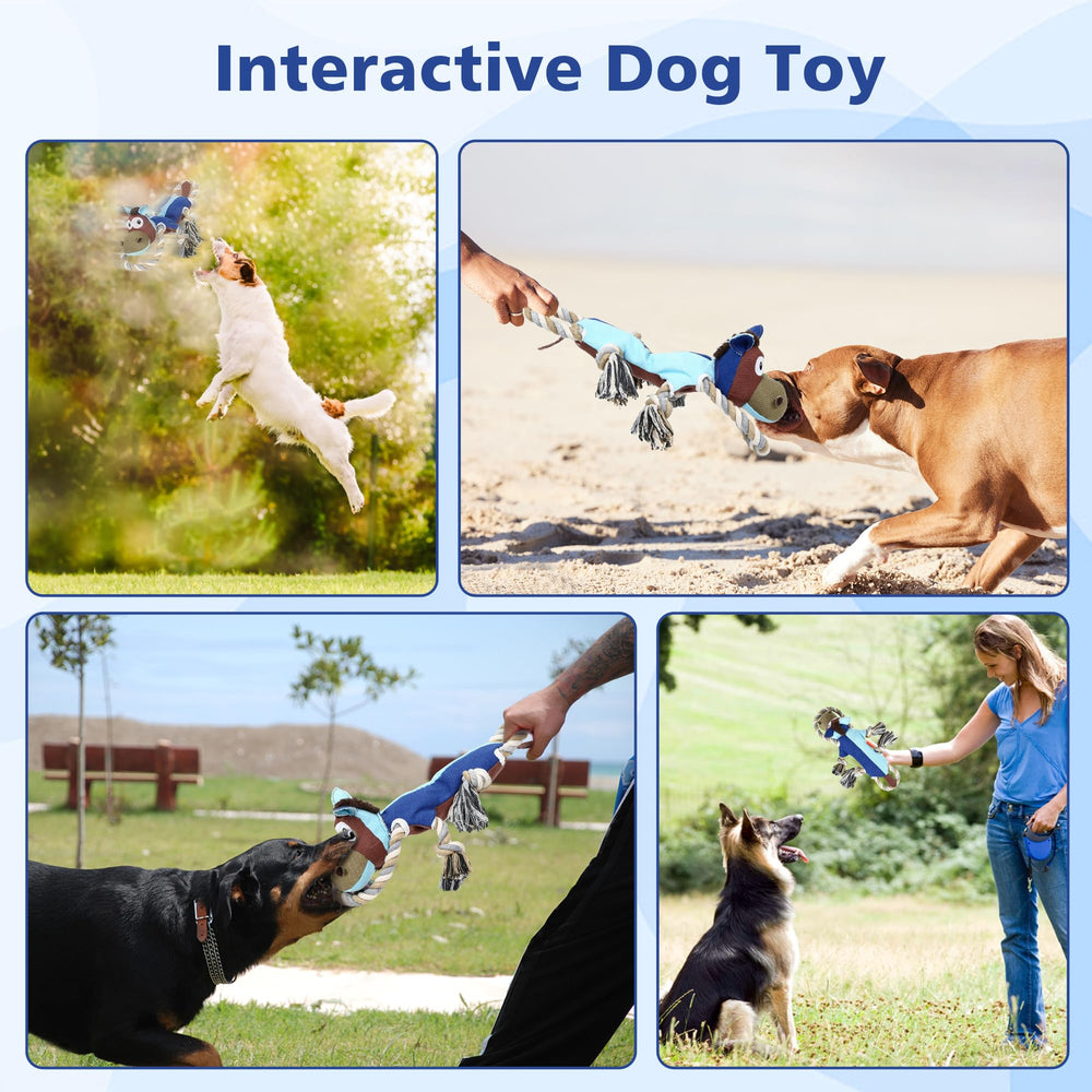IOKHEIRA rope-tug feature enables cooperative games and training