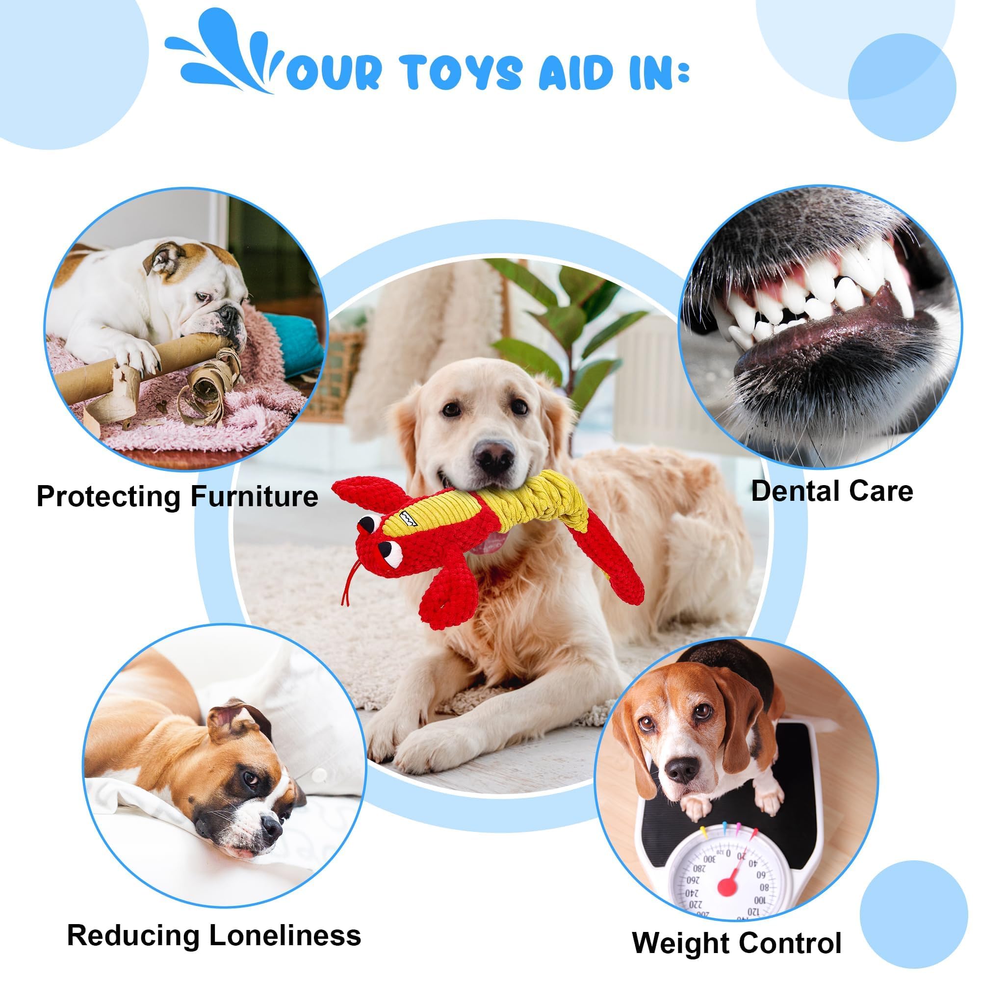 IOKHEIRA machine-washable dog toy easy cleanup after rambunctious sessions and quick drying.