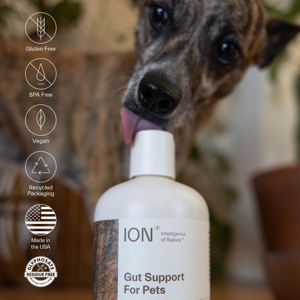 ION* Gut Support label highlights ingredients and potency for overall pet vitality