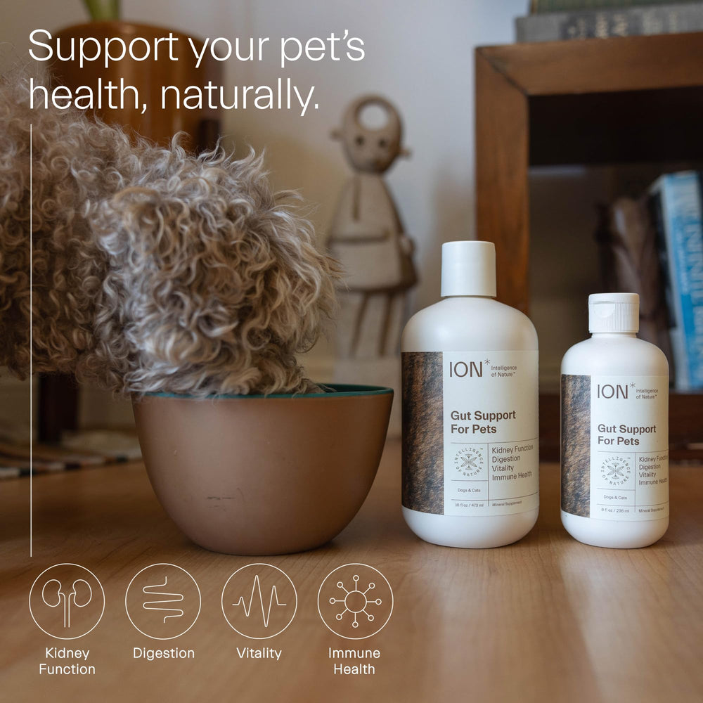 ION* Gut Support for Pets skin-coat health image indicating improved fur and skin balance