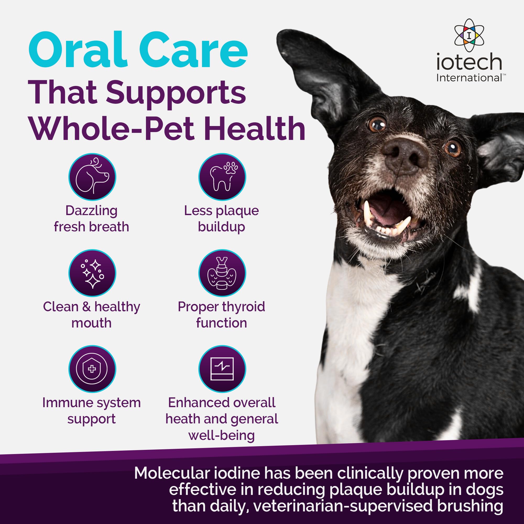 ioVet Oral breath freshening technology highlighted by two US patents.