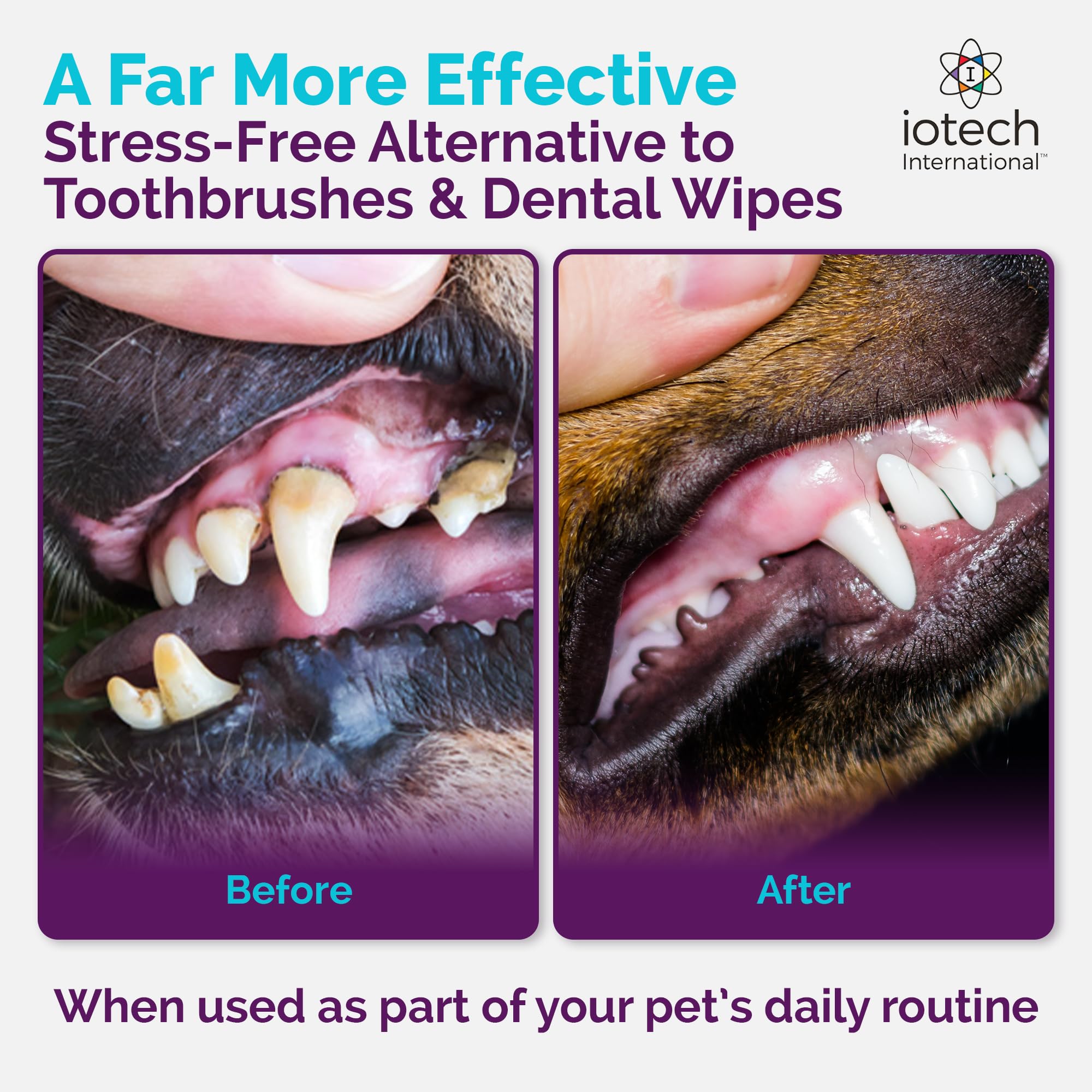 ioTech made in USA packaging signals trusted, high quality pet care.