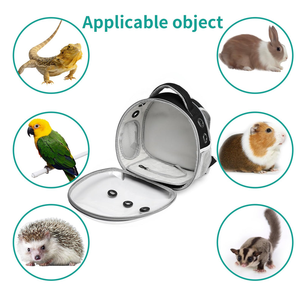 ioview breathable mesh design with side door promotes airflow for small pets.