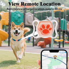 IOYDC Cat Tracker app view demonstrates seamless iOS/Android monitoring and alerts.