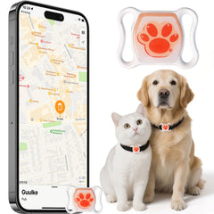 IOYDC Cat Tracker on collar shows real-time location for quick peace of mind.
