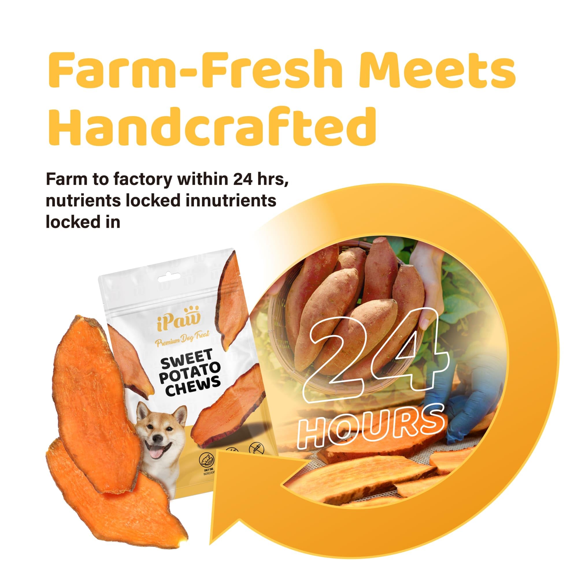 iPaw Sweet Potato Chews are a digestible option for dogs with sensitive stomachs.