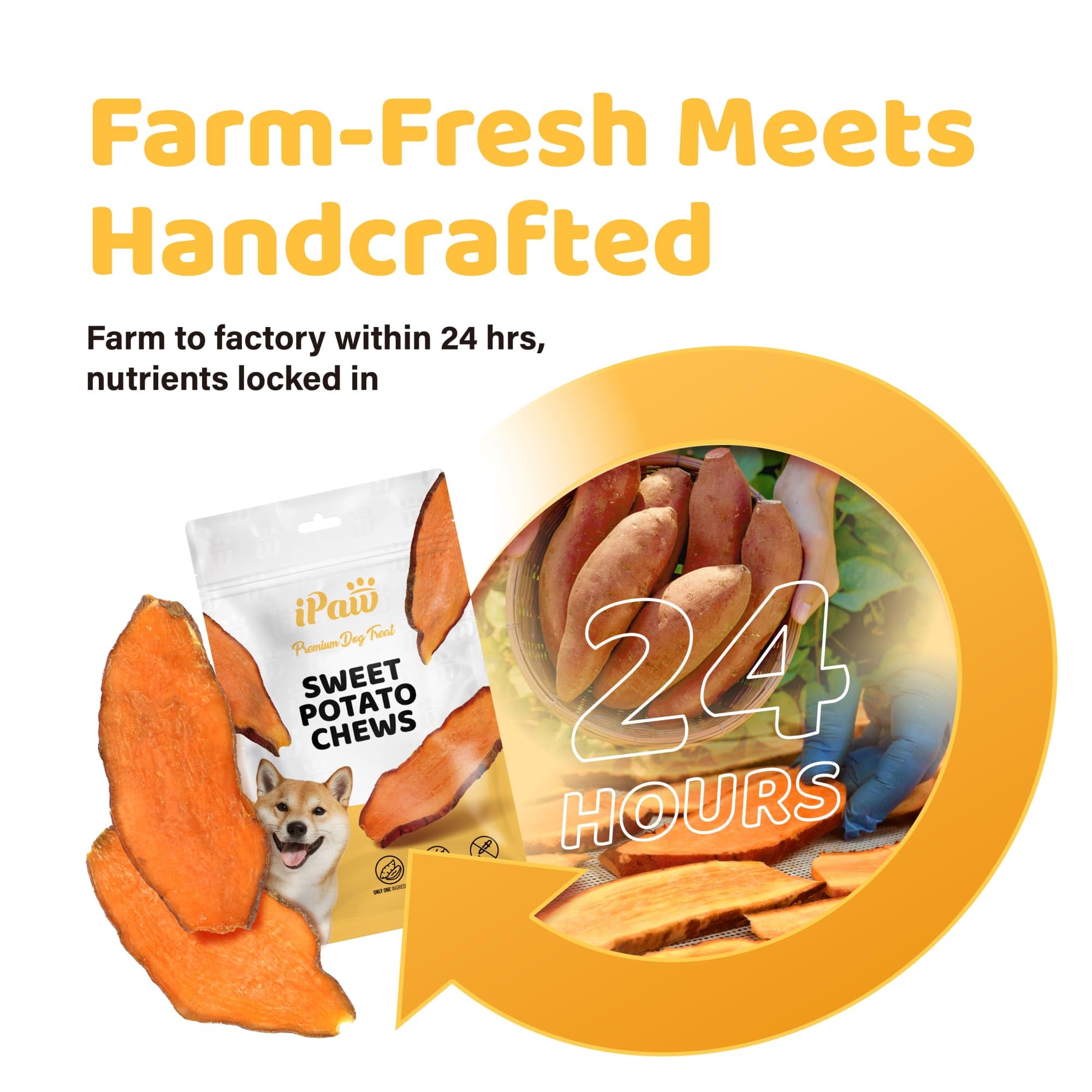 ipaw sweet potato chews hypoallergenic option for dogs of all ages
