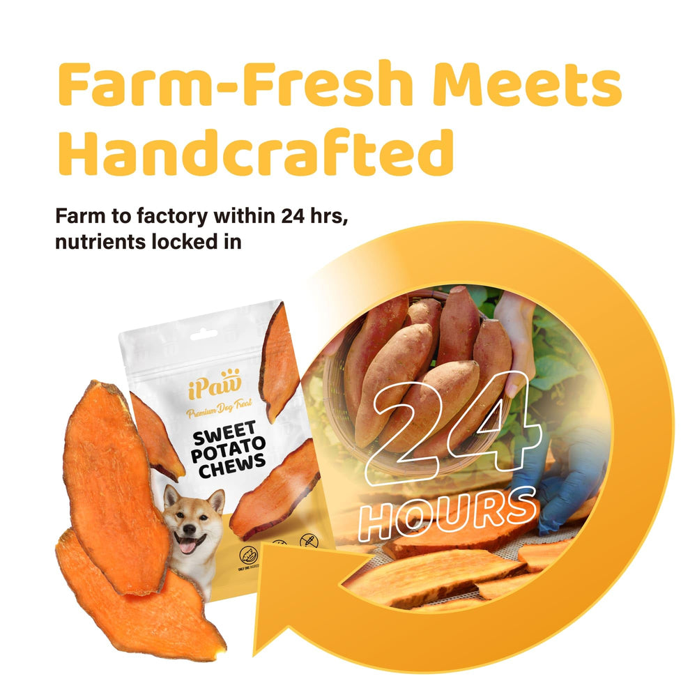 ipaw sweet potato chews hypoallergenic option for dogs of all ages