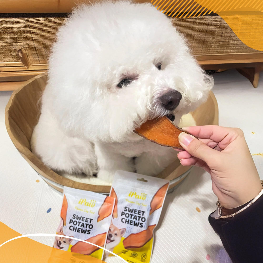iPaw Sweet Potato Chews used as a rawhide alternative for canine chewing.