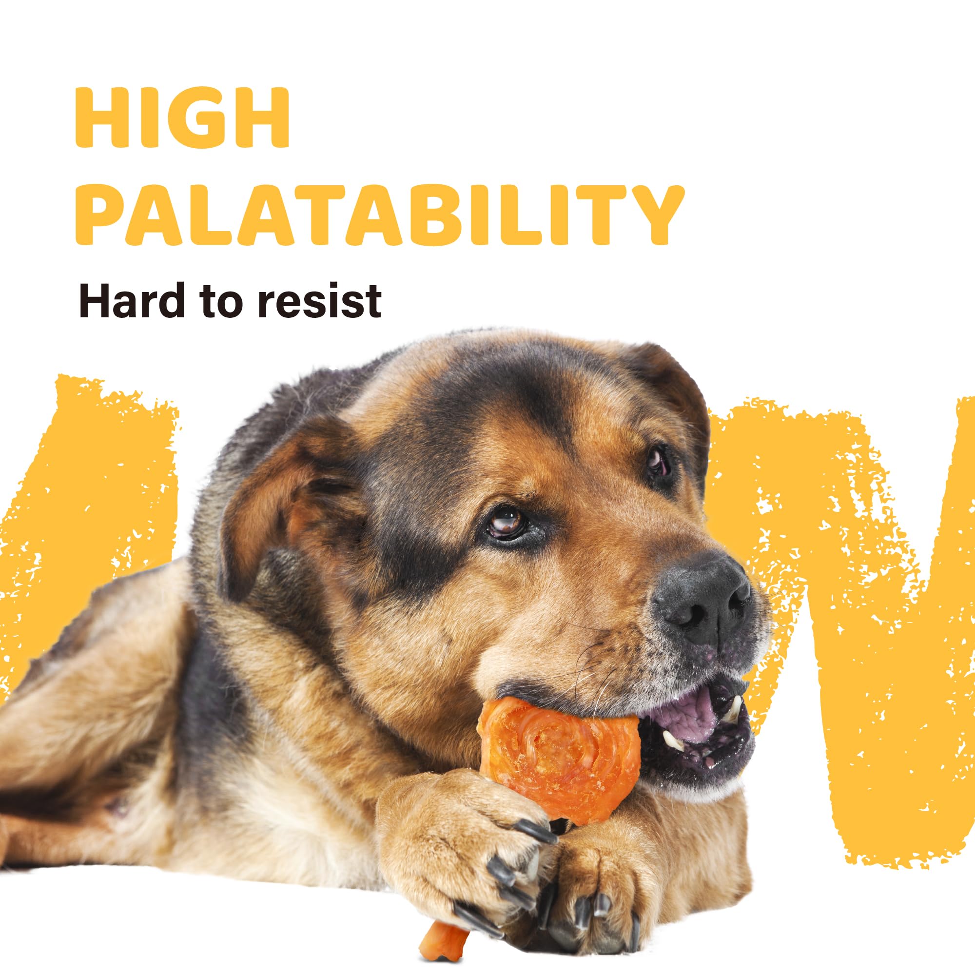 iPaw Turkey Tendon dog chewing action demonstrates a durable chew, a rawhide alternative.
