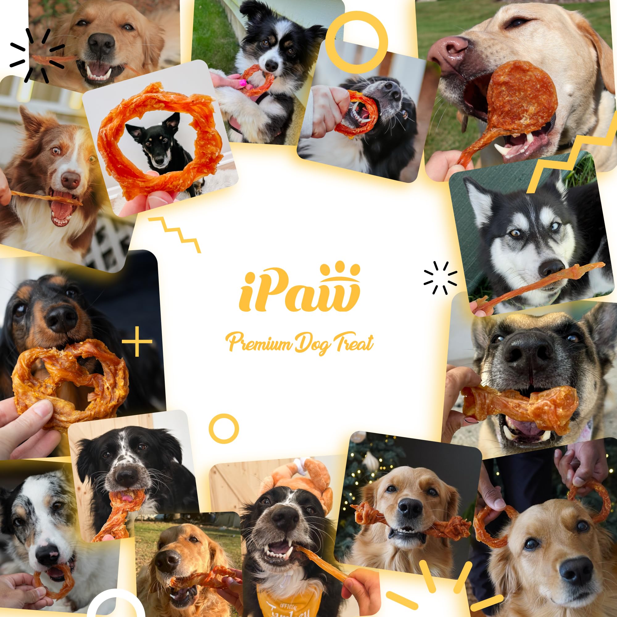 iPaw Turkey Tendon pack display shows four small chews, suitable for daily rewards.