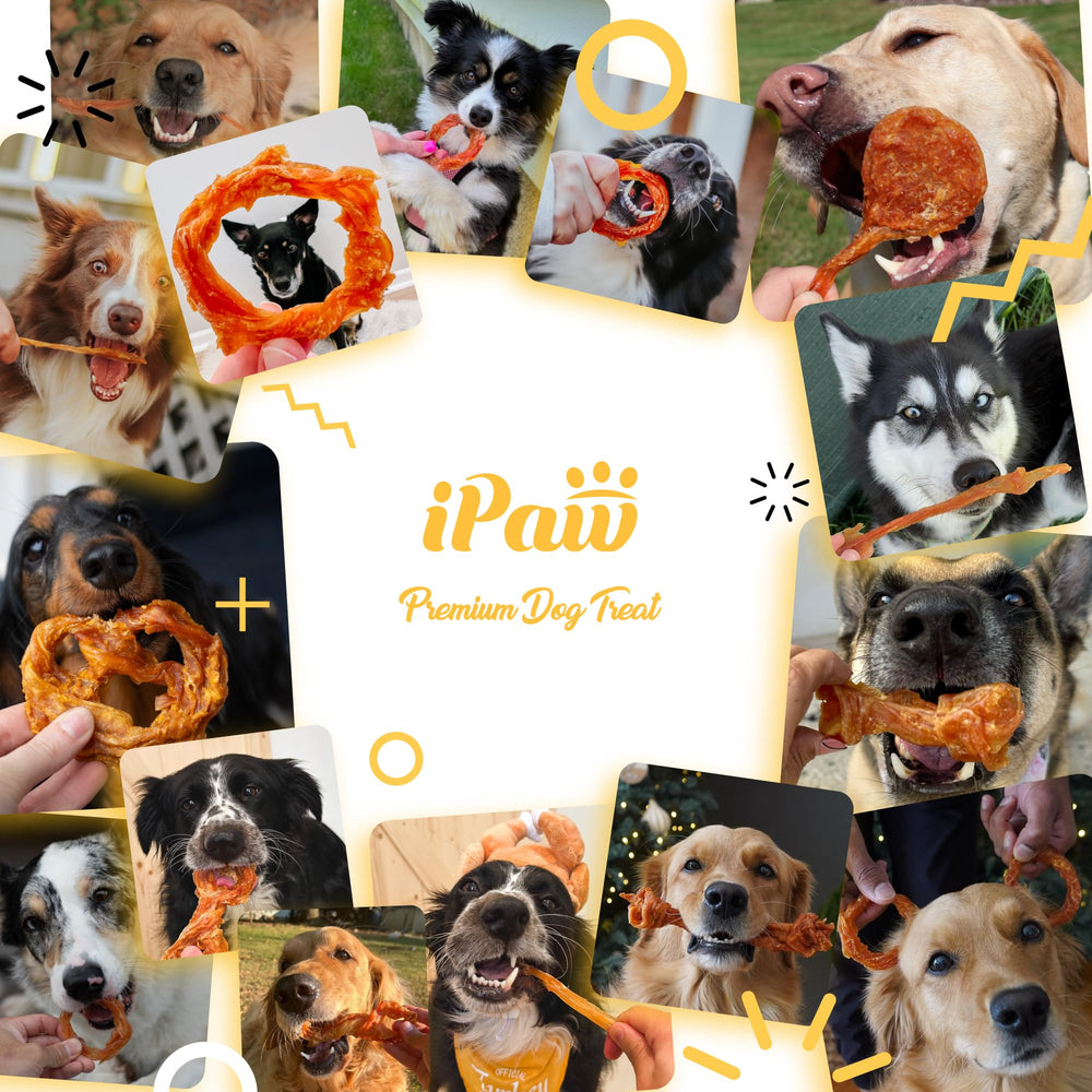 iPaw Turkey Tendons dental-benefit image suggests plaque-friendly chewing.